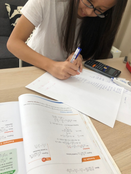 Punggol Small Group Maths Tuition Sec 2 Streaming Year Get A1 Distinctions Small Group RJC ACJC MOE NIE